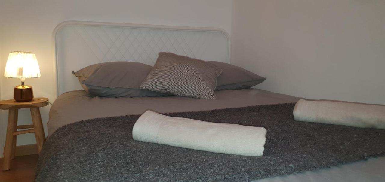 Santocha : Appartement En Plein Coeur De Ville ! Καρκασόν Εξωτερικό φωτογραφία