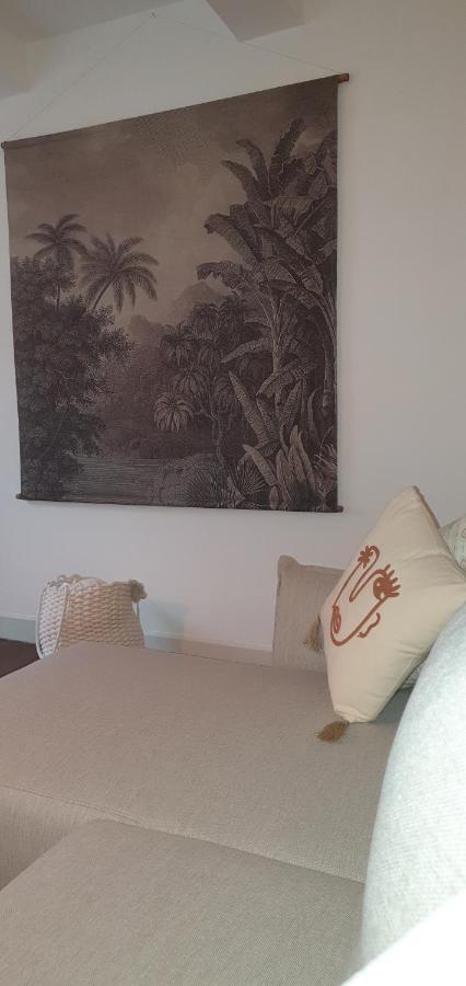 Santocha : Appartement En Plein Coeur De Ville ! Καρκασόν Εξωτερικό φωτογραφία